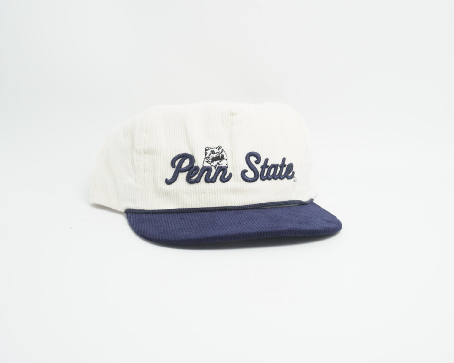 Penn State Hiding Lion