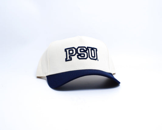 Outline PSU